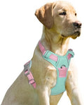 BARKBAY Dog Harness No Pull for Small Sized Dog Front Back Clips, Dog Vest by BARKBAY