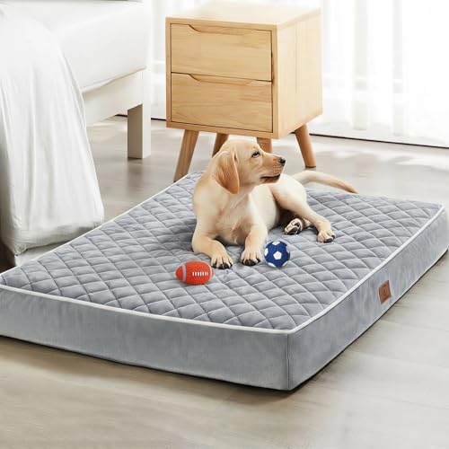 WNPETHOME Orthopedic Waterproof Dog Bed Medium by WNPETHOMEPETSHOME