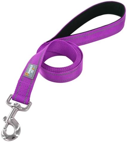 6 FT Basic Dog Leash for Medium Dogs, Padded Handle - Image 3