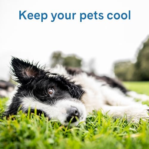 The Green Pet Shop Cool Pet Pad - Image 4