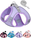 Dog Harness & Leash Set by Aecllcea