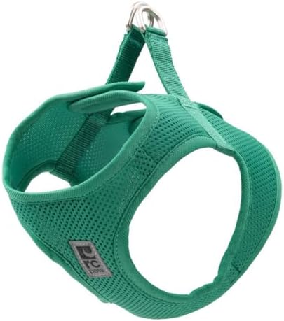RC Pets Step in Cirque Harness XXL Parakeet by RCPets