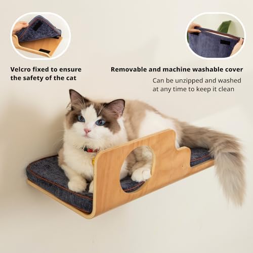 LIORCE Cat Wall Shelves with 2 Steps, Creative Design Cat Shelf with Peephole - Image 3