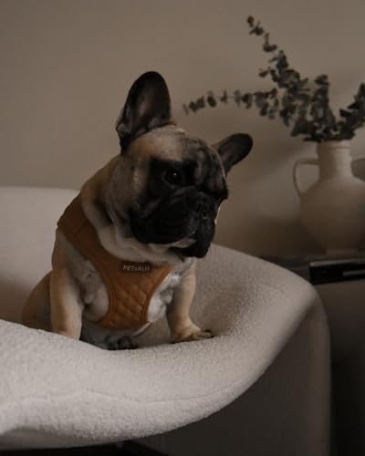 Step in Dog Harness, Lightweight Breathable Mesh Soft Padded Pet Vest, Vegan - Image 5
