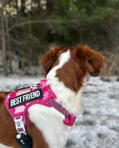 AUROTH Dog Harness for Large Dogs, No Pull Tactical Dog Vest Heavy Duty - Image 6