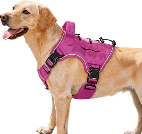 Heavy-Duty Tactical Dog Harness by Bruvoalon