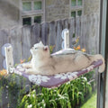 Cute Cat Window Perch, Foldable Cat Window Hammock by Yaning