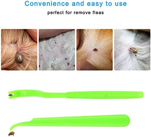 Lamoutor 7Pcs Pet Flea Comb Fine Tooth Comb and Pet Stainless Steel Combs - Image 6