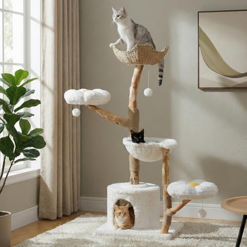 MUTTROS 59" Modern Wood Cat Tree by MUTTROS