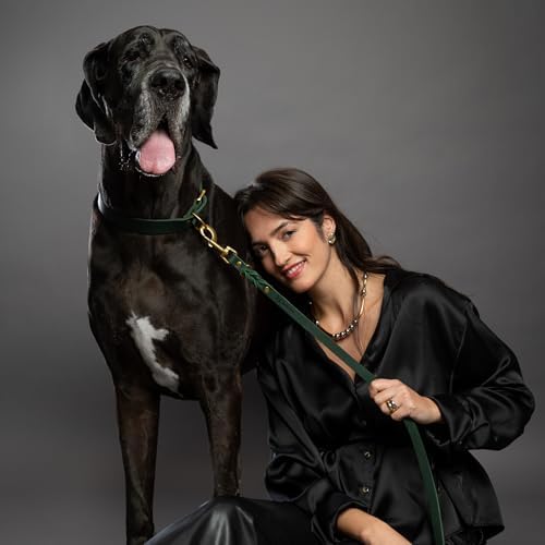 Noah & Paw Hands Free Dog Leash Leather Dog Leash - Image 3