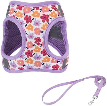 Small Dog Harness with Leash Step in No Pull Reflective Harness - Image 2