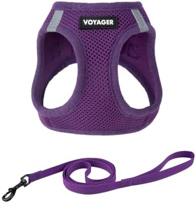 Voyager Step-in Air Cat Harness & Leash Set by BestPetSuppliesLLC