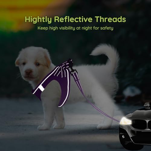 BELLA & PAL Step in Puppy Harness and Leash Set - Image 5