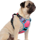 rabbitgoo Dog Harness Small Sized, No Pull 3 Buckles Easy On & Off by rabbitgoo
