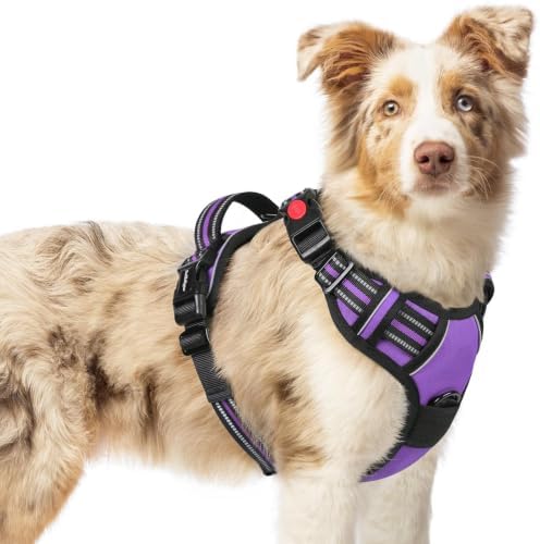 rabbitgoo Dog Harness Medium Sized, Updated Easy On & Off by rabbitgoo