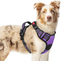 rabbitgoo Dog Harness Medium Sized, Updated Easy On & Off by rabbitgoo