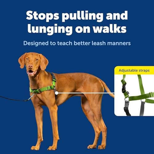 PetSafe Easy Walk Harness, No Pull Dog Harness, Apple Green - Image 3