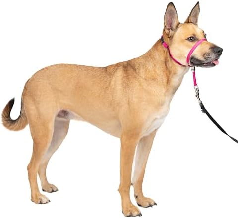 PetSafe Gentle Leader No Pull Dog Headcollar, Raspberry Pink by PetSafe