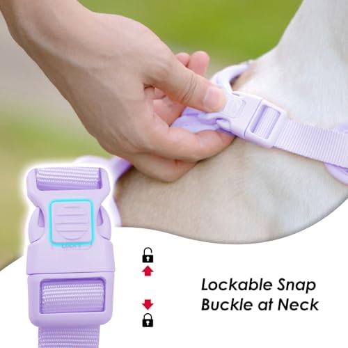 Sunraymascota No Pull Dog Harness - Image 2
