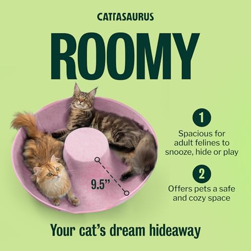 Cattasaurus Peekaboo Cat Cave Donut - Image 4