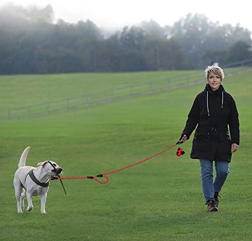Plutus Pet Rope Dog Leash with Double Handles, 6 FT Long, Reflective - Image 4