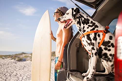 Reflective Adjustable Dog Step in Harness - Image 5