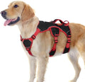 rabbitgoo Escape Proof Dog Harness by rabbitgoo