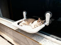 YGP No Drilling Cat Window Perch by YGP