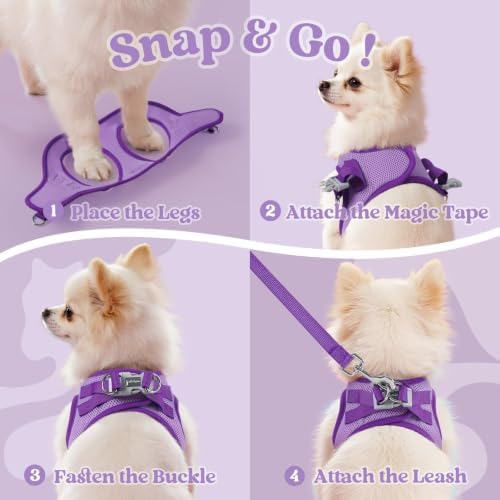 rabbitgoo Dog Harness Small Sized and Leash Set, Step in Soft Vest - Image 2