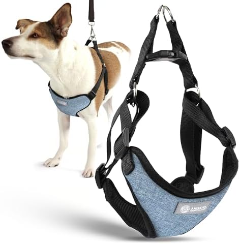 AKC Premium Padded Step-in Dog Harness – Soft Comfort Fit by AmericanKennelClub