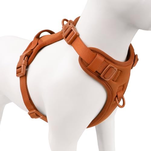 Sunraymascota No Pull Dog Harness by Sunraymascota