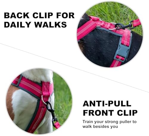 Plutus Pet No Pull Dog Harness, Adjustable Nylon Harness - Image 4