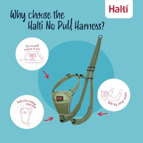 Halti No Pull Dog Harness | Size XS, Forest Green - Image 3