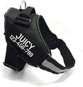 Custom No Pull Dog Harness by PawPawify