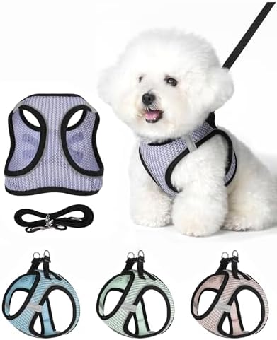 Dog Harness Small Sized and Leash Set, Step in Soft Light Puppy Vest, by Unknown