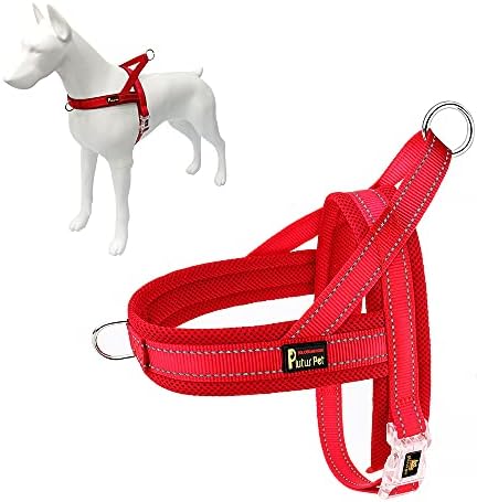 Plutus Pet No Pull Dog Harness for Small Dogs, Breathable Mesh Padded by PLUTUSPET