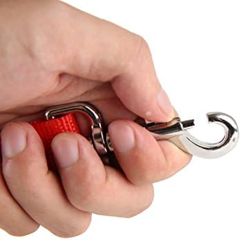 Nylon Dog Training Leash, Traction Rope, 4Ft /5 Foot /6 Feet Long, 5/8 inch 3/4 - Image 4