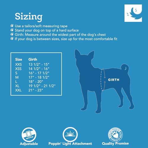 RC Pets Step in Cirque Harness L Dark Teal - Image 3