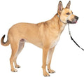 PetSafe Gentle Leader No Pull Dog Headcollar by PetSafe