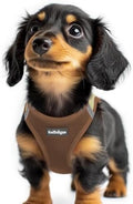 rabbitgoo Step-in Small Dog Harness, Puppy Vest by rabbitgoo