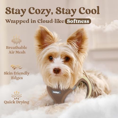 rabbitgoo Step-in Small Dog Harness, Puppy Vest - Image 3