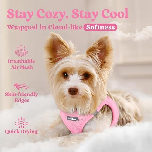 rabbitgoo Step-in Small Dog Harness, Puppy Vest - Image 3