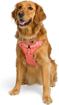 EveryYay by Petco Step in Dog Harness Pink Medium by Petco