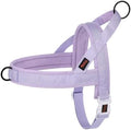 Didog No Pull Dog Harness with Breathable Mesh Padded, Quick Fit & Easy on Dog by Didog