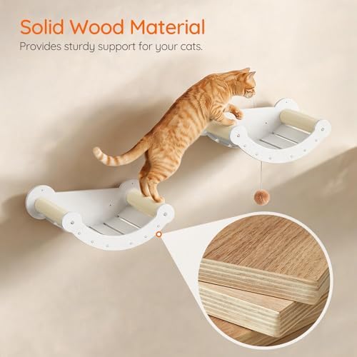HOOBRO Wood Cat Wall Shelves for Large Cats, Wall-Mounted Cat Shelves and - Image 2