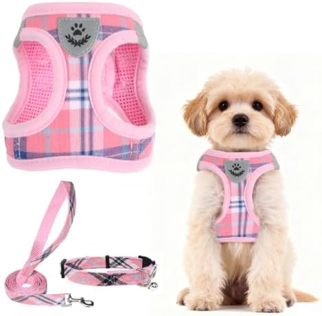 PUPTECK Dog Harness, Collar and Leash Set No Pull by PUPTECK