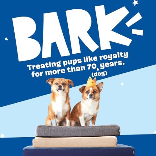 BarkBox Orthopedic Dog Bed - Image 6