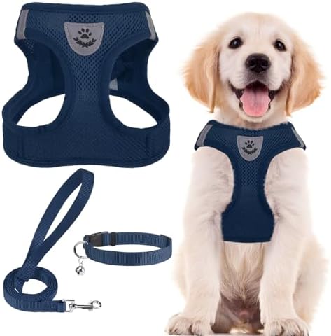 PUPTECK Dog Harness, Collar and Leash Set No Pull by PUPTECK