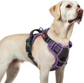 rabbitgoo Dog Harness for Large, Updated Easy On & Off by rabbitgoo