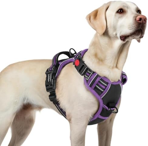 rabbitgoo Dog Harness for Large, Updated Easy On & Off by rabbitgoo